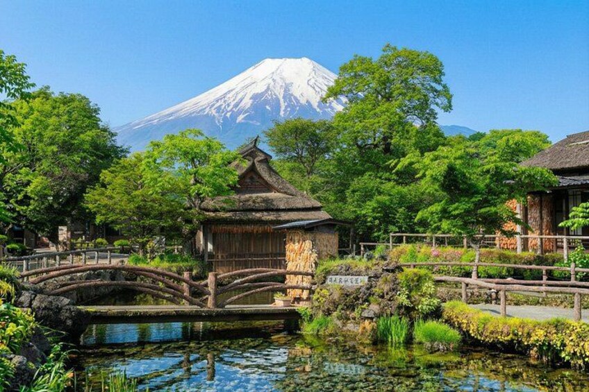 From Tokyo: Mount Fuji Sightseeing Full Day Trip 4