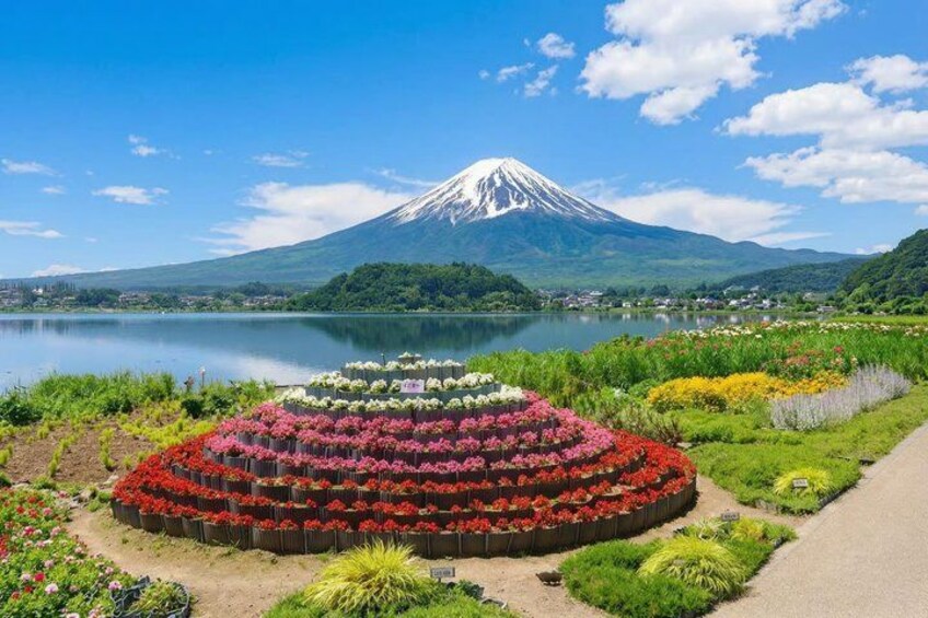 From Tokyo: Mount Fuji Sightseeing Full Day Trip 5
