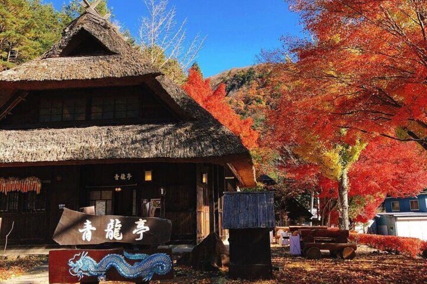 En traditionell japansk byggnad med ett halmtak, omgiven av höstlövsverk. 5