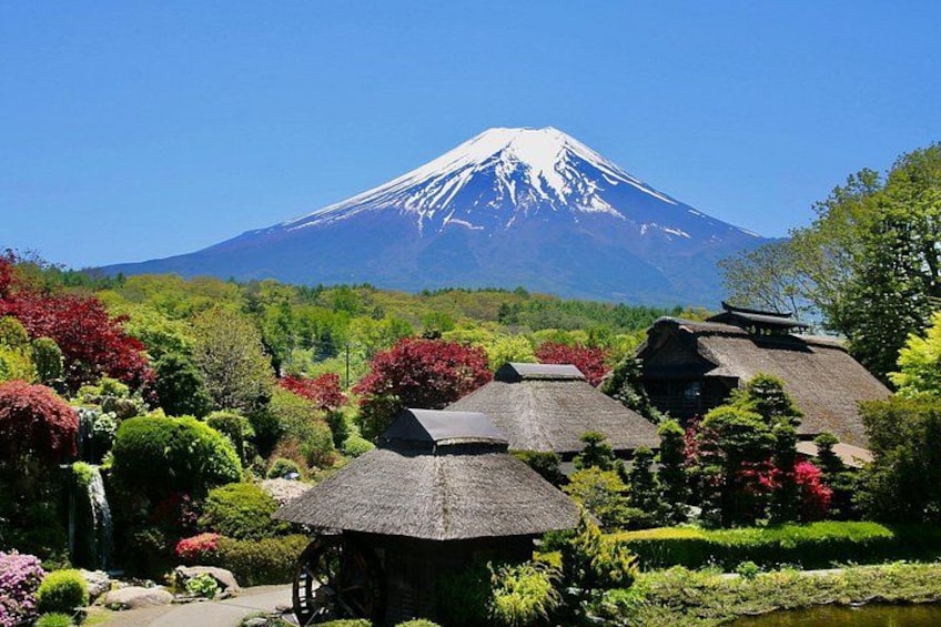 From Tokyo: Mount Fuji Sightseeing Full Day Trip 2