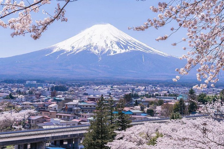 A snow-capped mountain, a cityscape, and cherry blossoms. 2