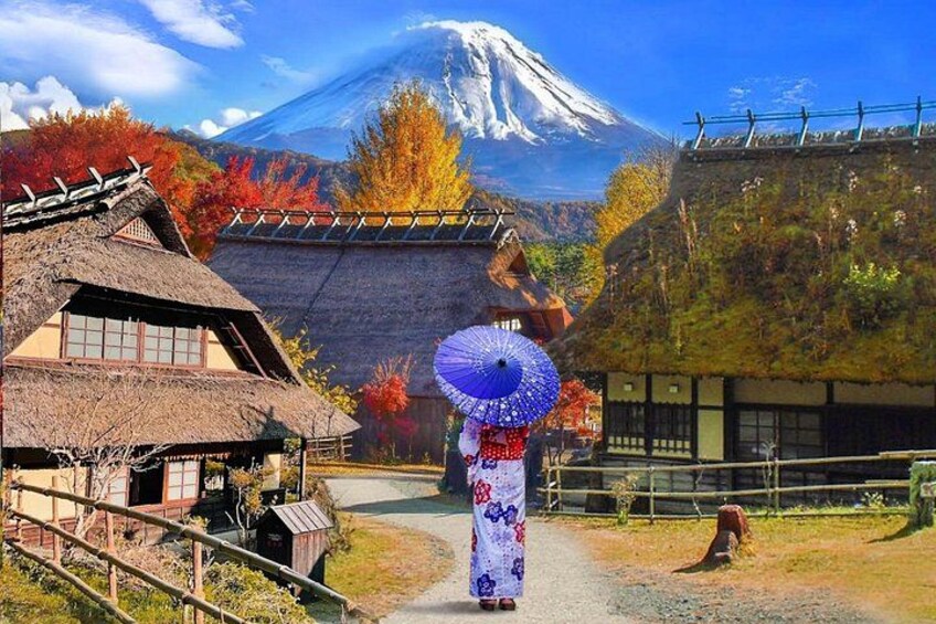 From Tokyo: Mount Fuji Sightseeing Full Day Trip 3