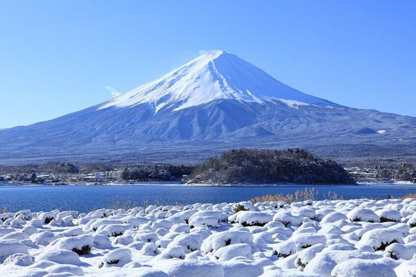 From Tokyo: Mount Fuji Sightseeing Full Day Trip 5
