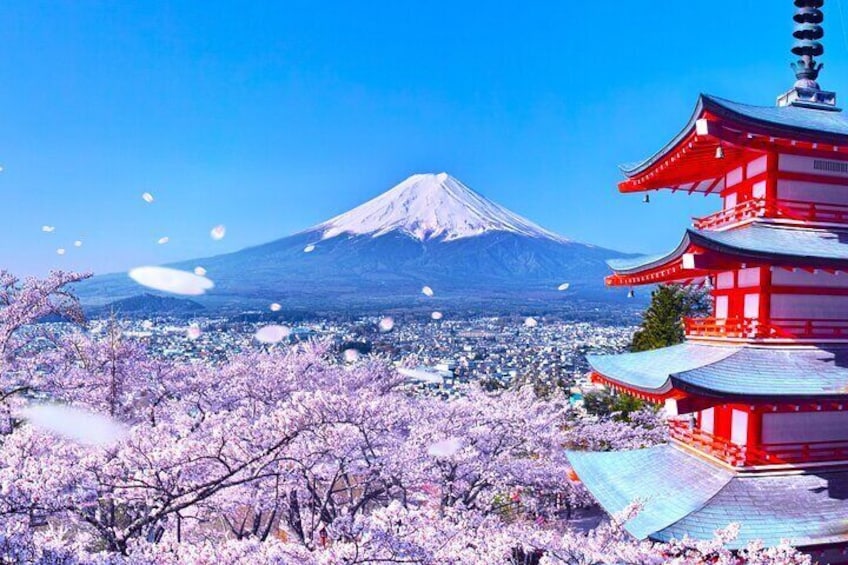 Berget Fuji, körsbärsblommor och en traditionell japansk pagod. 2