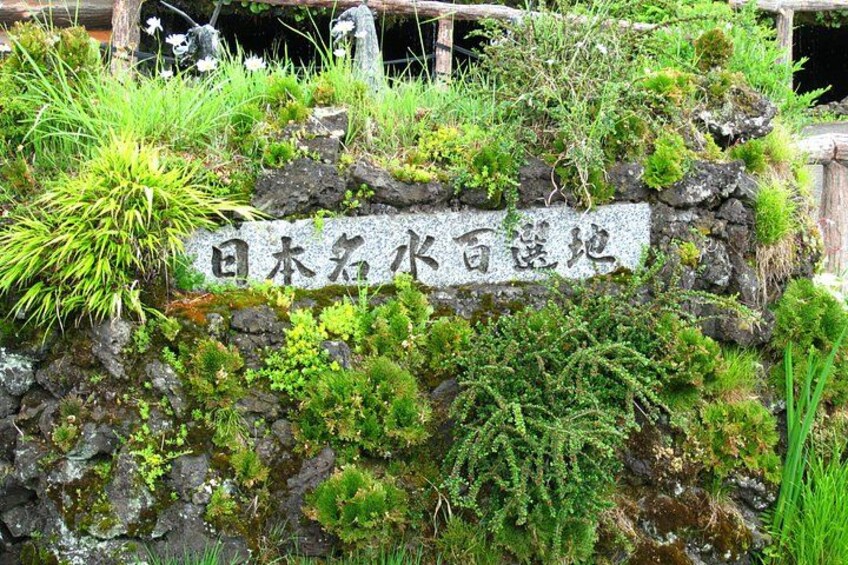 From Tokyo: Mount Fuji Sightseeing Full Day Trip 3