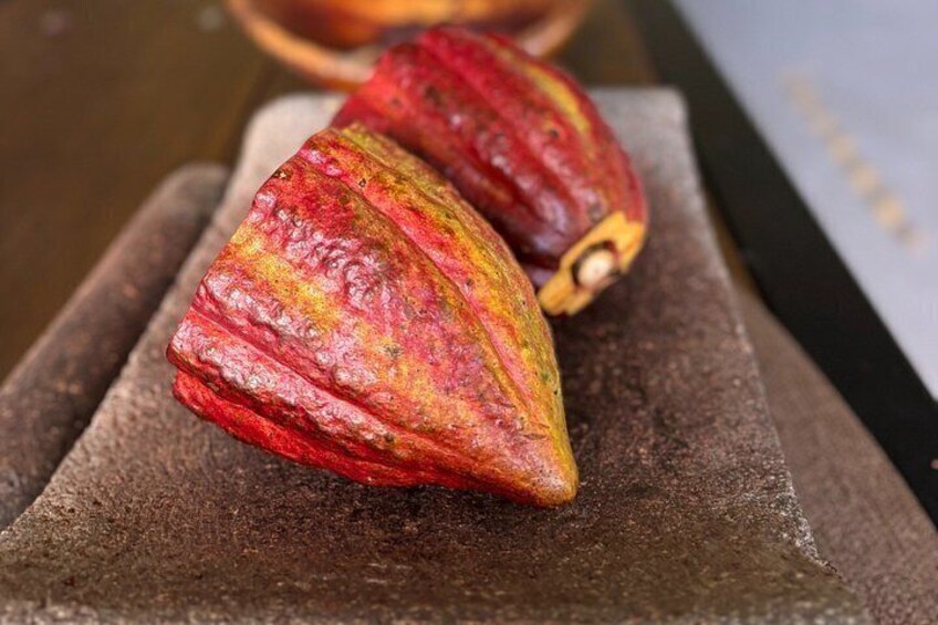 Dos frutas rojas y amarillas sobre una superficie de piedra. 5