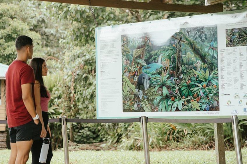 A large informational display about a rainforest, surrounded by lush greenery. 3