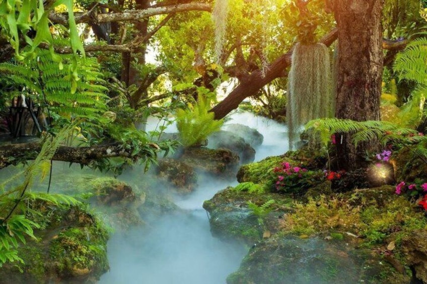 Un ruscello tra ruscelli di foglie, rocce ricoperte di muschio e felci. 2