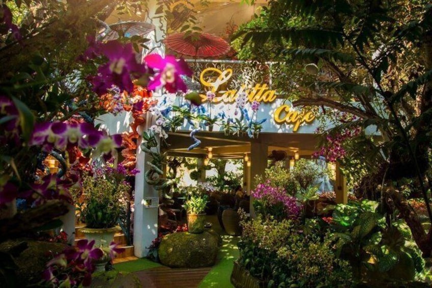 Un giardino con un caffè chiamato 'La Citta Caffe', circondato da vegetazione lussureggiante e piante fiorite. 1