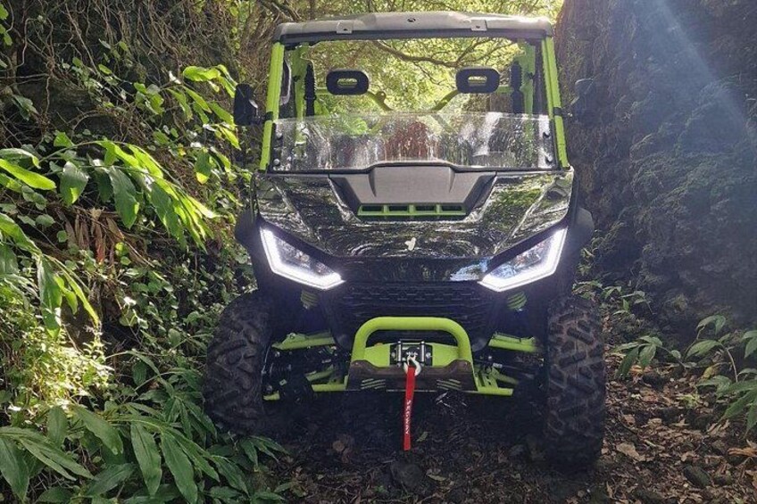 Een groen en zwart terreinwagen in een bebost gebied met dichte begroeiing en rotsachtig terrein. 4