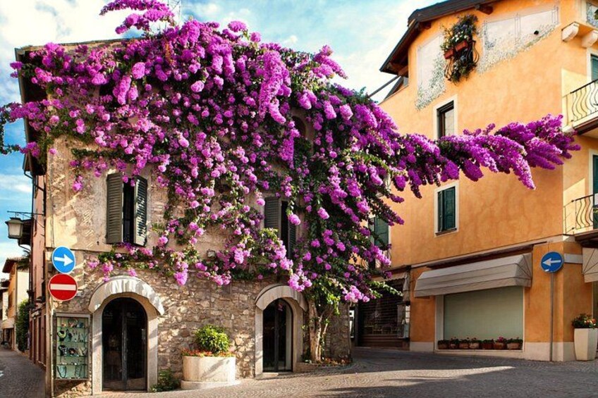 Tour to Lake Garda, Sirmione, Desenzano, Borghetto from Verona 3