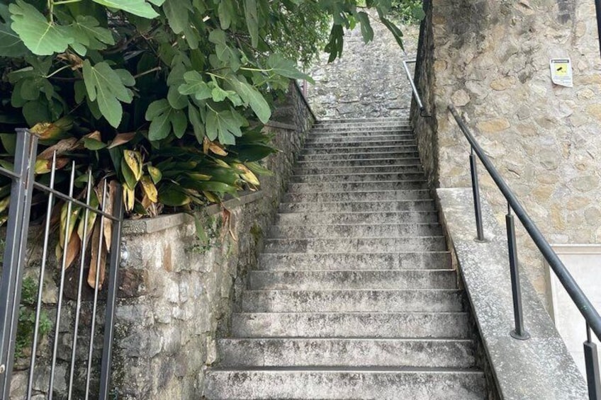 Tour to Lake Garda, Sirmione, Desenzano, Borghetto from Verona 5