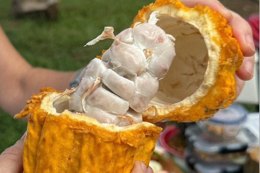 Exotic Fruit Tasting Tour in Kona 2