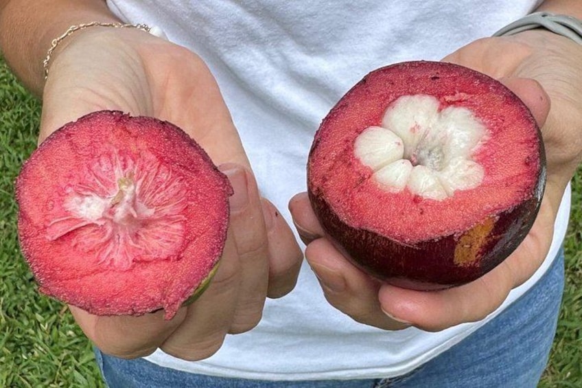 Exotic Fruit Tasting Tour in Kona 2