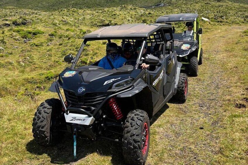 Happy Cows Buggy Tour 3
