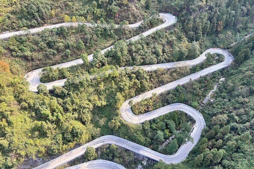 A winding mountain road surrounded by dense forest. 1