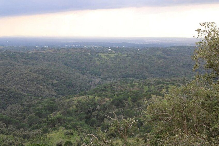Discovering Silver Coast Adventure 5