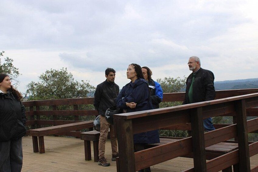 Discovering Silver Coast Adventure 4