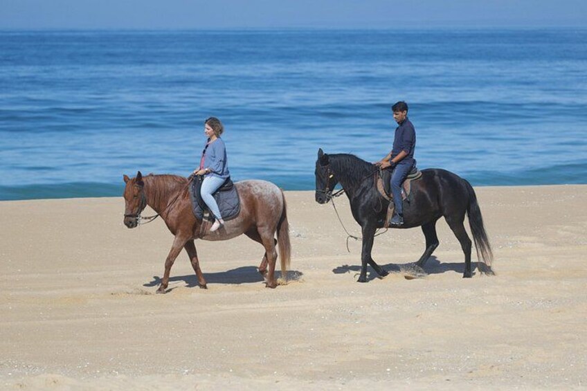 Discovering Silver Coast Adventure 1