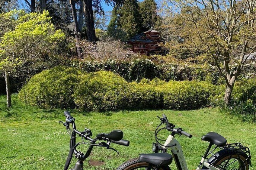 Summer of Love San Francisco Guided eBike Tour Golden Gate Park 5