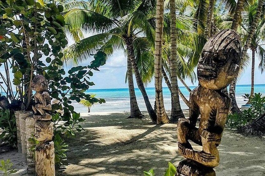 Saona Island Tour from Santo Domingo 2