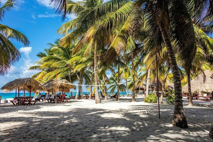 Saona Island Tour from Santo Domingo 3