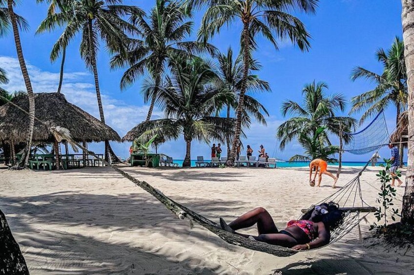 A beach with palm trees, a hammock, and a thatched-roof hut. 2