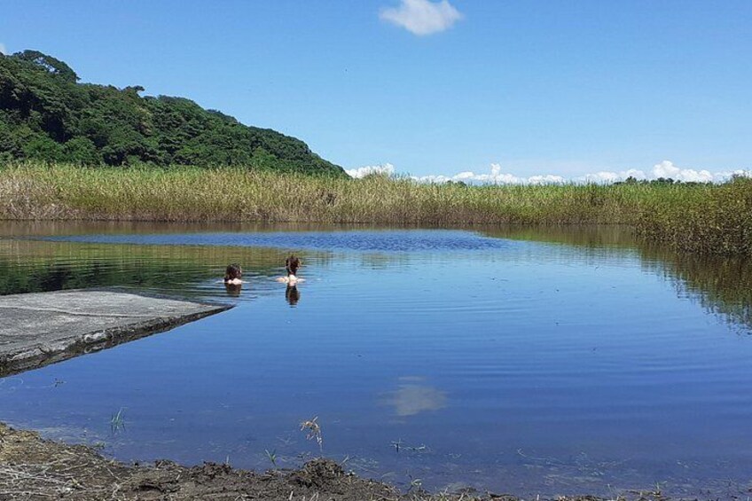 A calm body of water with two people swimming, surrounded by lush greenery and a clear sky. 2