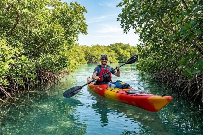 Eine Person paddelt mit einem Kajak durch einen Mangrovenwald. 4