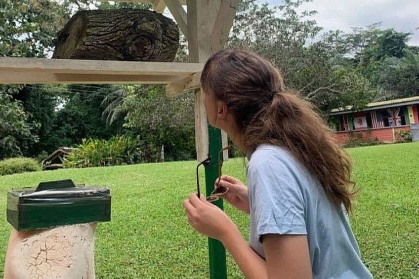 A person using binoculars in a grassy outdoor area with a wooden structure and a log. 2