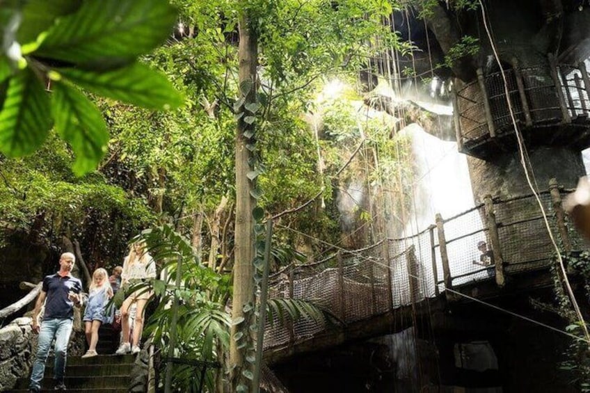 Gothenburg Universeum Ticket - Aquarium, Science, Wildlife, Zoo 1