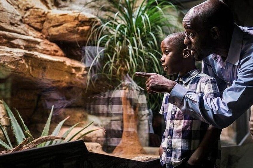 Gothenburg Universeum Ticket - Aquarium, Science, Wildlife, Zoo 5