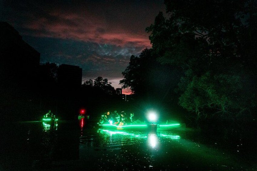 Glow Kayak Night Adventure in the Mangroves 2