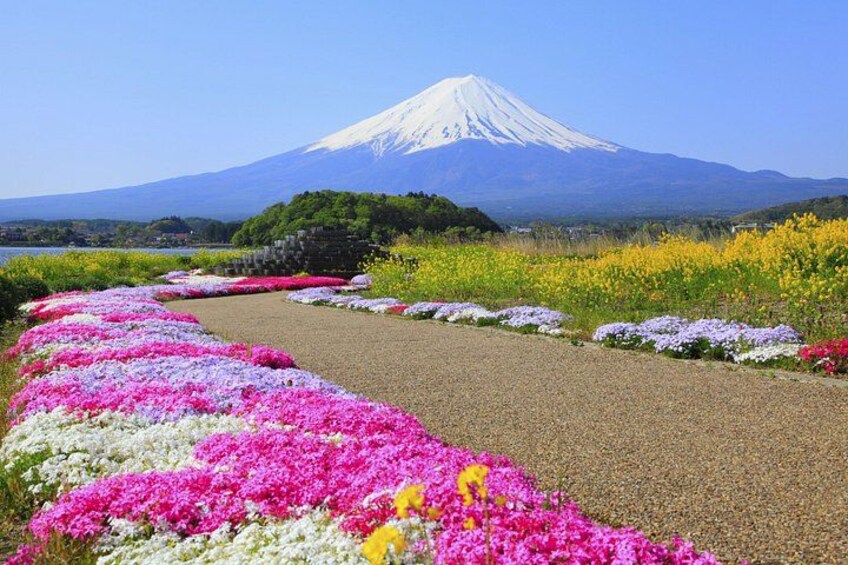 A pathway lined with colorful flowers leading to a snow-capped mountain. 4