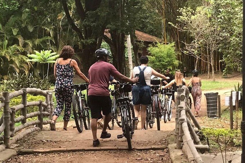 Ibirapuera Park Bike Tour 1