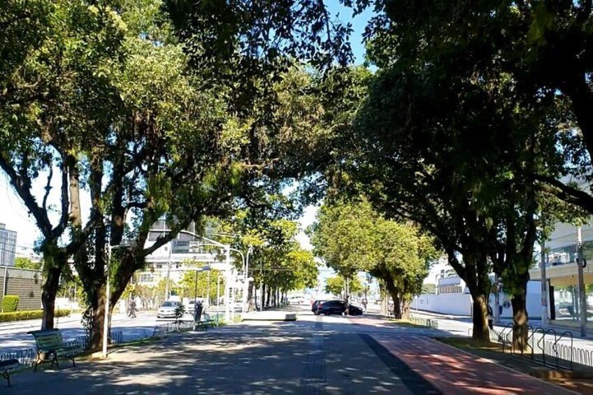 The History of Samba in Florianópolis 2