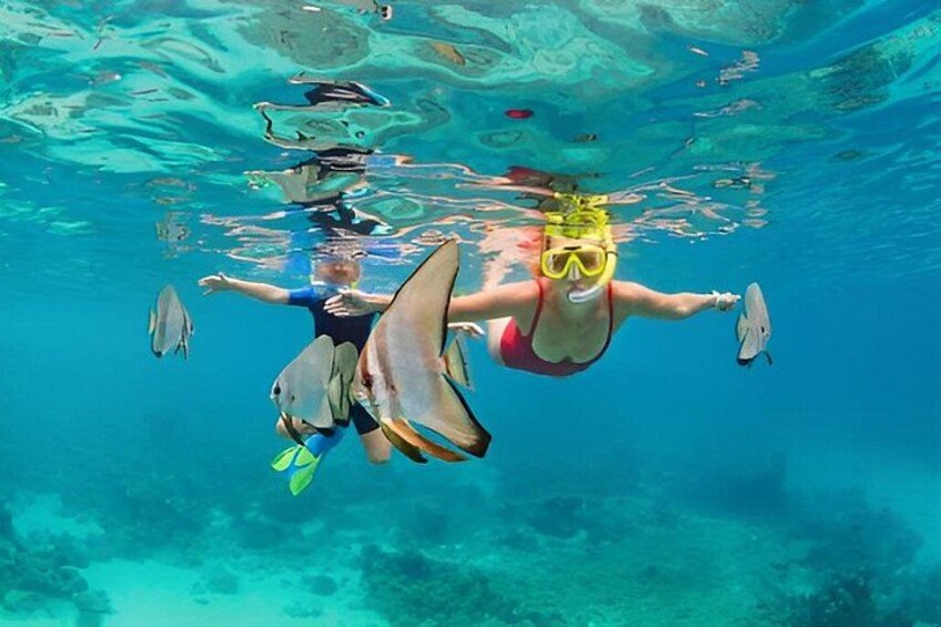 Una persona nadando bajo el agua con aletas y un snorkel. 1
