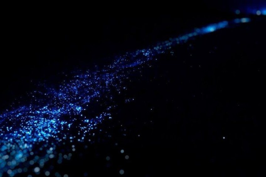Bioluminescence Tour in Huatulco 1