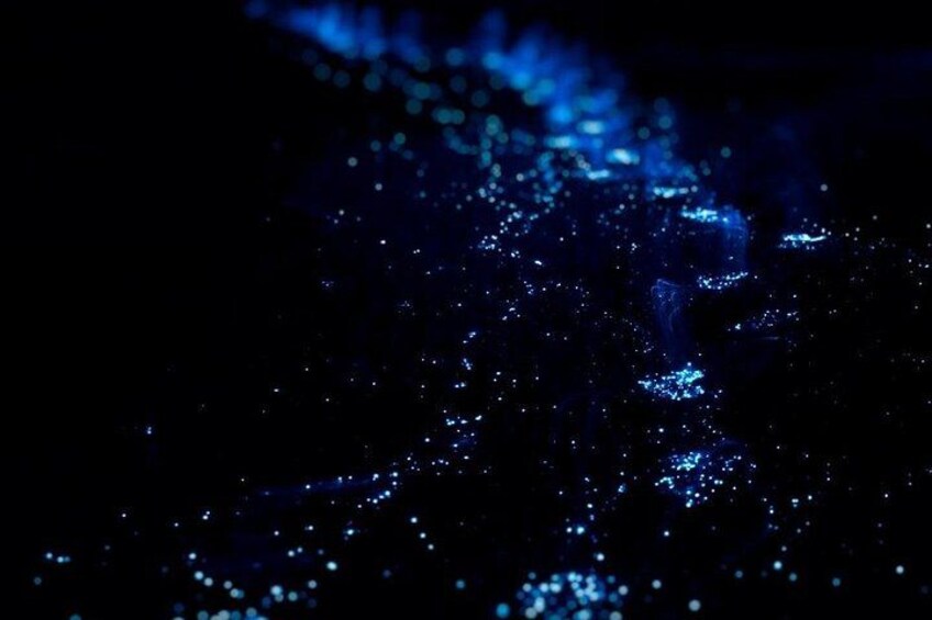 Bioluminescence Tour in Huatulco 2