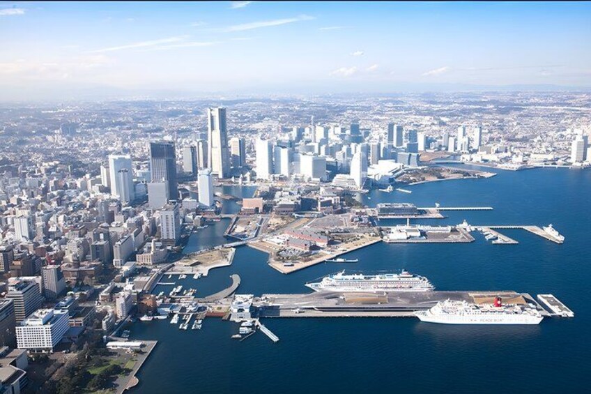 Yokohama/Tokyo Port to Disney: Ticket + Transfer & Private Tour 4