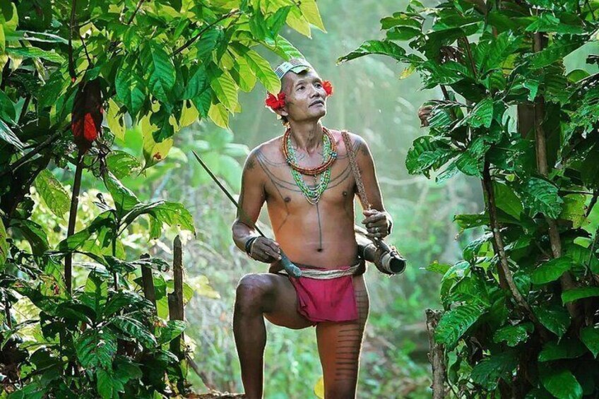 A person in traditional attire holding a weapon, surrounded by dense green foliage. 1