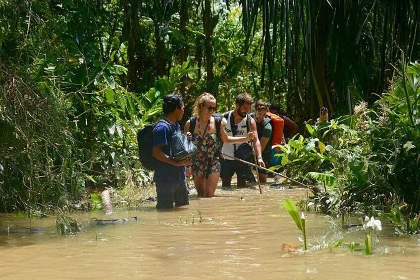 A group of people wading through a shallow river surrounded by dense vegetation. 2