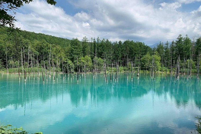 A turquoise lake surrounded by forested hills. 3