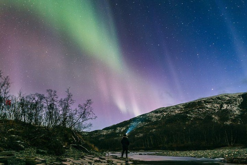A person standing on a rocky shore under a night sky with aurora borealis. 2
