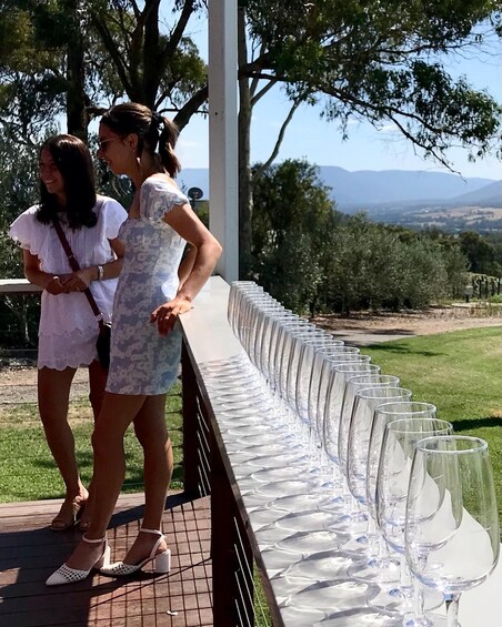Two women standing by a table with wine glasses, overlooking a grassy landscape with trees and distant mountains. 4