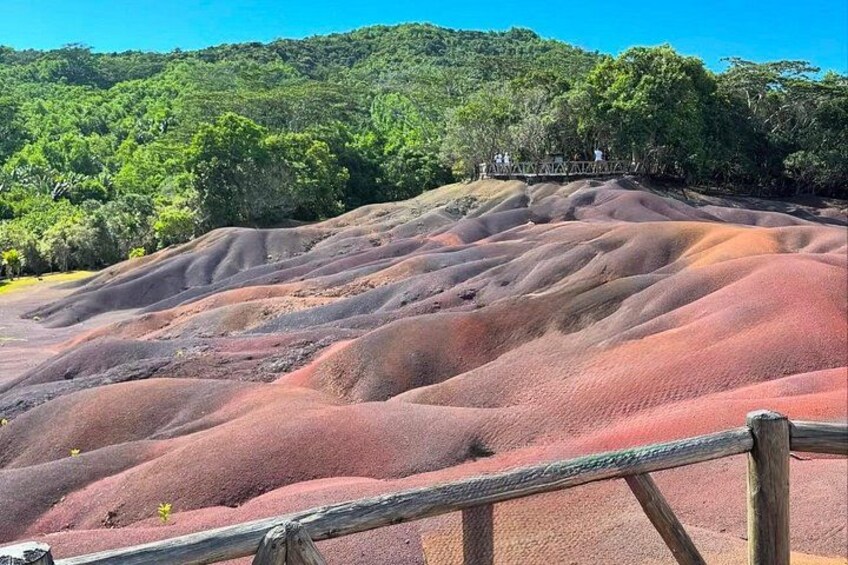 South Mauritius: Crocodile Park, 7-Coloured Earth and Lunch 4
