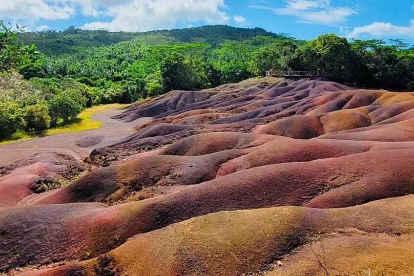 South Mauritius: Crocodile Park, 7-Coloured Earth and Lunch 2