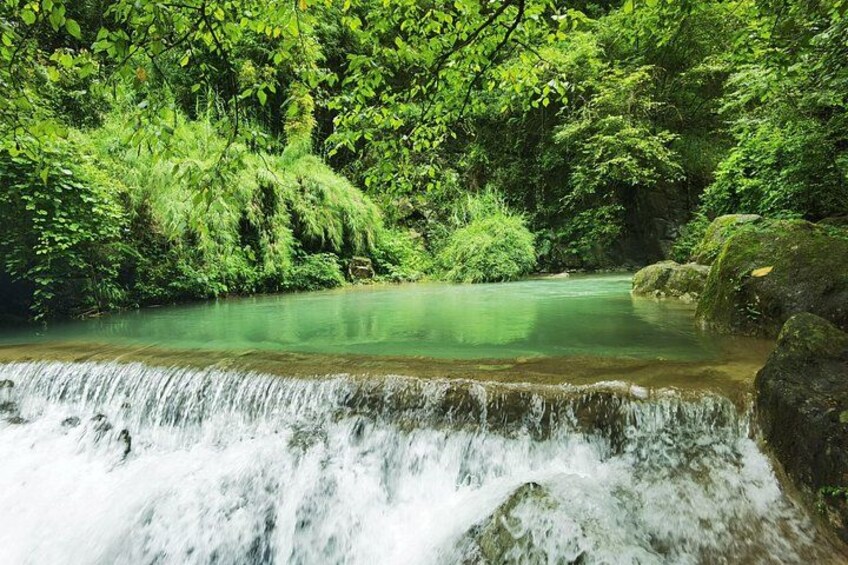 A waterfall in a lush green forest. 3