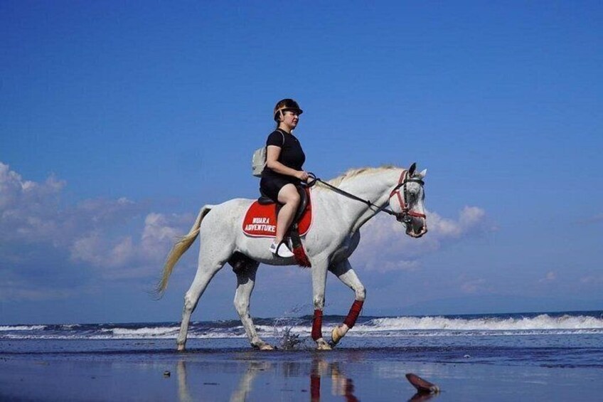 Saba Beach Horse Riding Experience 5