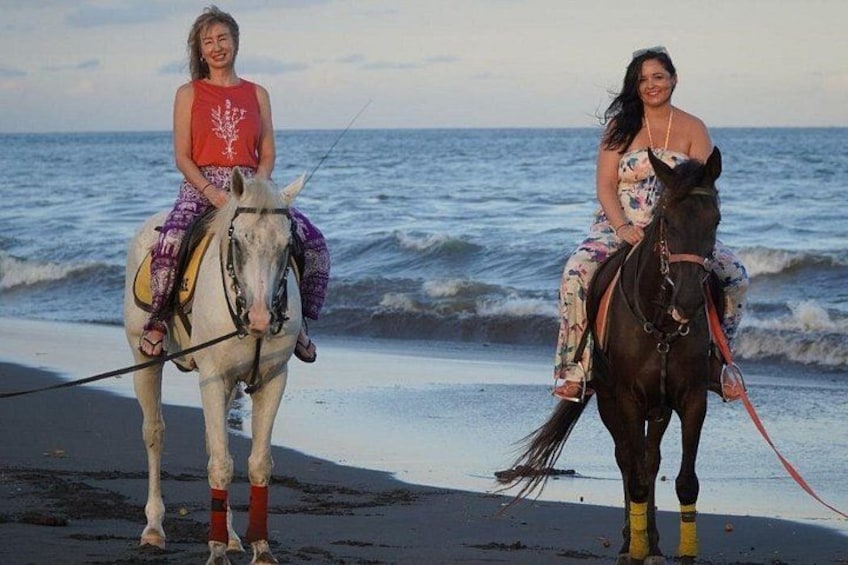 Saba Beach Horse Riding Experience 2